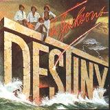 The Jacksons Destiny